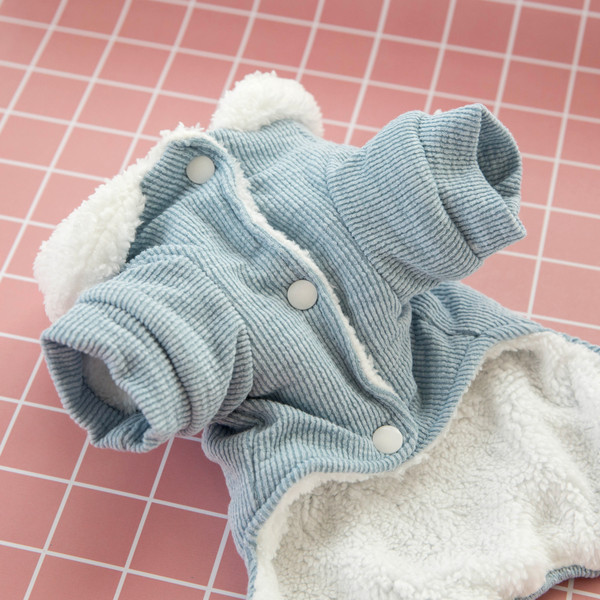 Moodne pealdisega polsterdatud mantel koertele