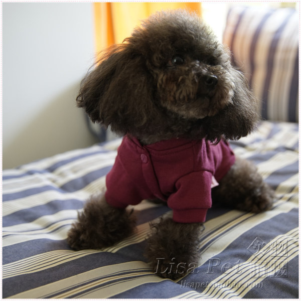 Jesensko-zimska bluza za pse s vezom