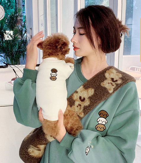 Kahes värvitoonis kampsun väikestele koertele