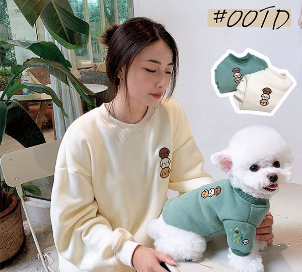 Kahes värvitoonis kampsun väikestele koertele