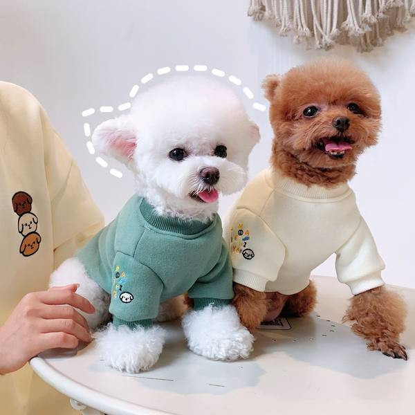 Kahes värvitoonis kampsun väikestele koertele