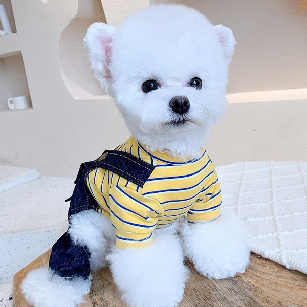 Kahes värvitoonis kombinesoon koerale