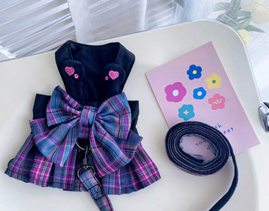 Kleit + jalutusrihm koerale