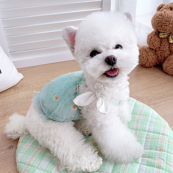 Moodne tikandiga hülgerõivas koerale