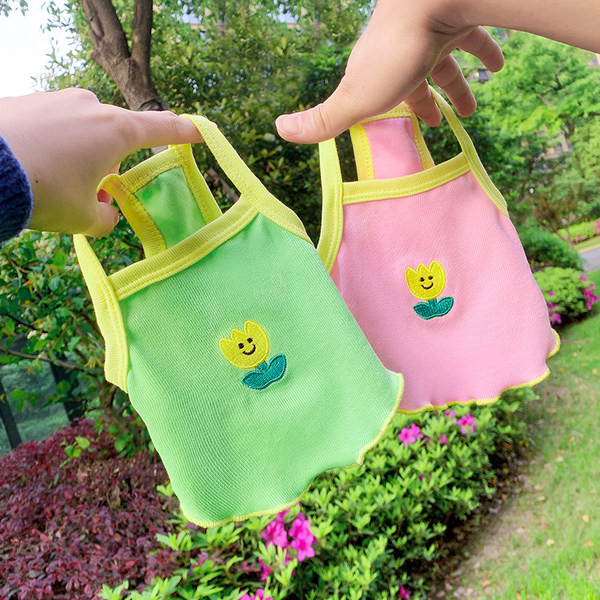 Moodne tikandiga koeratops