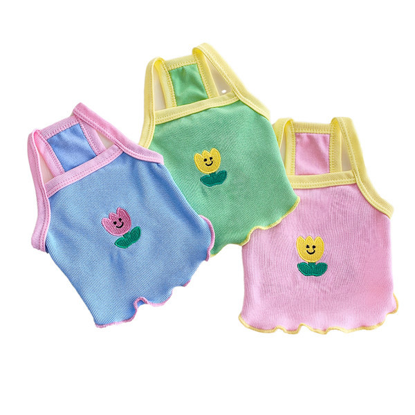 Moodne tikandiga koeratops