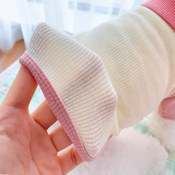 Stiilne kaelarihma ja nööpidega koeravest