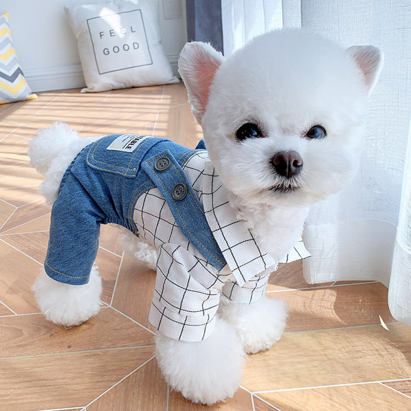 Taskuga kombinesoon koertele