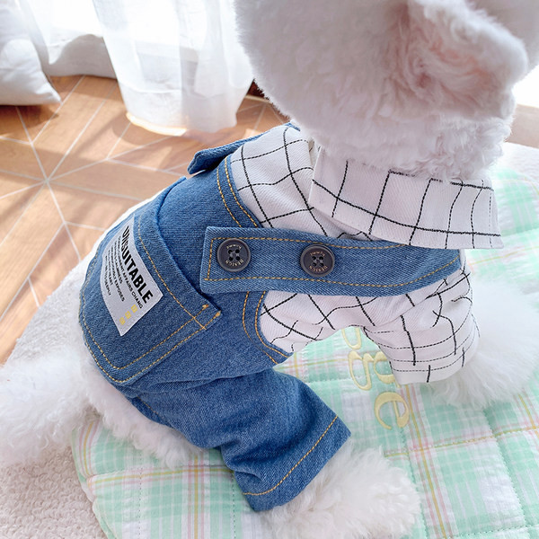 Taskuga kombinesoon koertele