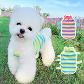 Sügisvest väikestele koertele - kahte värvi