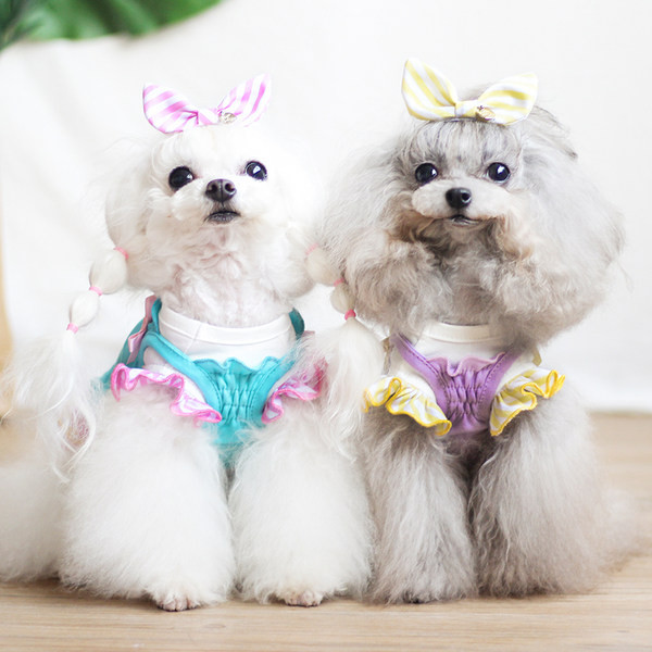 Lokkide ja paelaga kleit koertele