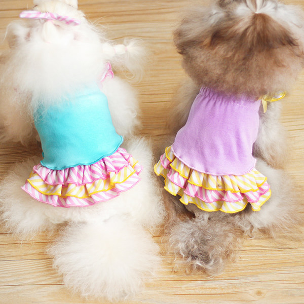 Lokkide ja paelaga kleit koertele