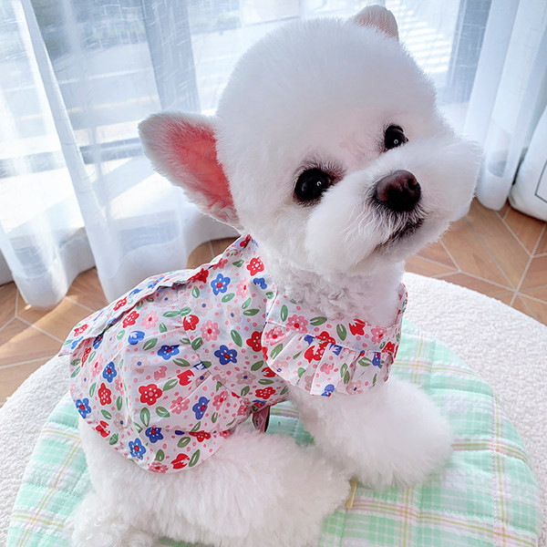 Moodne lillemustriga koerakleit