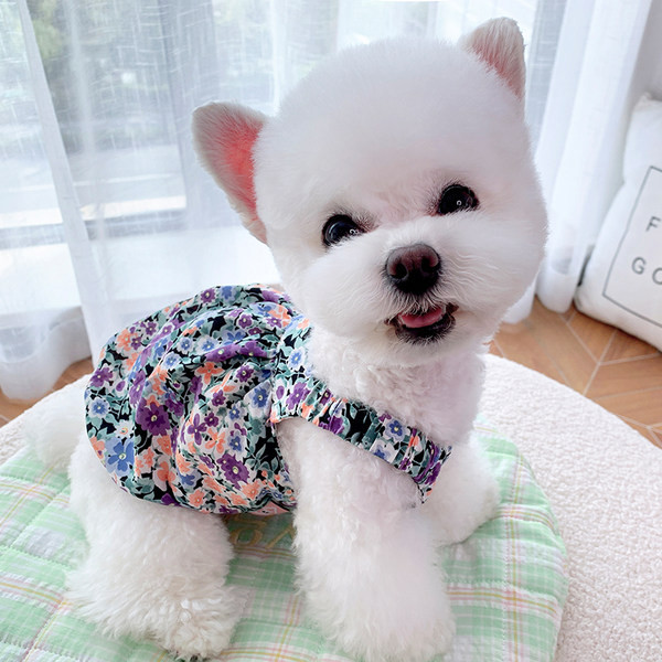 Stiilne lillemustriga kleit koertele