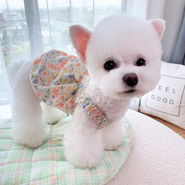 Stiilne lillemustriga kleit koertele