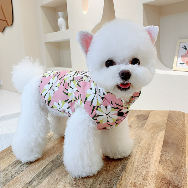 Stiilne lillelise mustriga koeravest