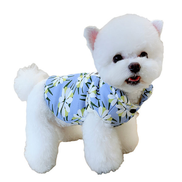 Stiilne lillelise mustriga koeravest