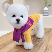 Kaasaegsed salli ja kirjaga koerariided