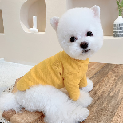 Kaasaegsed salli ja kirjaga koerariided