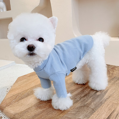 Kaasaegsed salli ja kirjaga koerariided