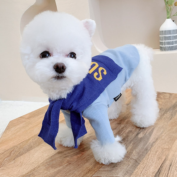 Kaasaegsed salli ja kirjaga koerariided