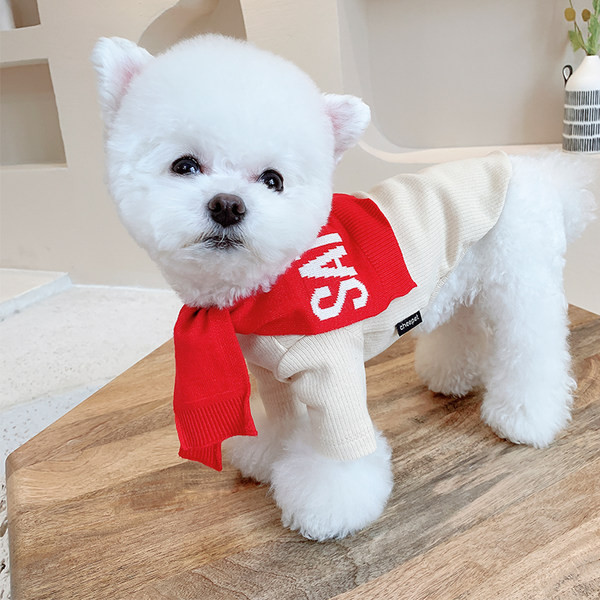 Kaasaegsed salli ja kirjaga koerariided