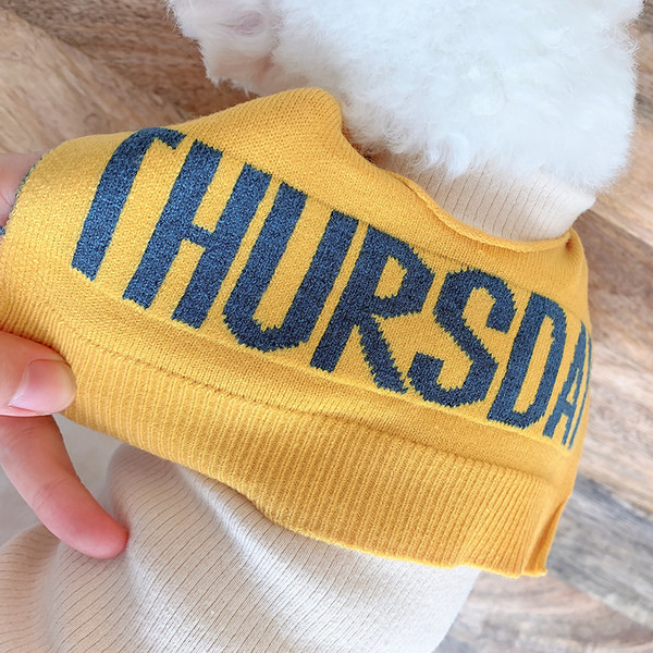 Kaasaegsed salli ja kirjaga koerariided