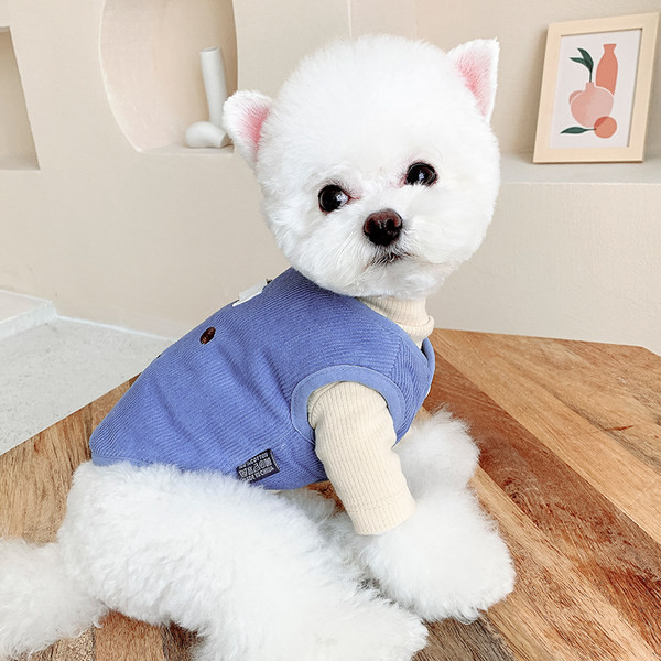 Tikandiga velvetist vest koertele