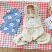 Moodne koeraülikond kombinesooni ja pluusiga