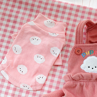 Moodne koeraülikond kombinesooni ja pluusiga