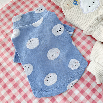 Moodne koeraülikond kombinesooni ja pluusiga