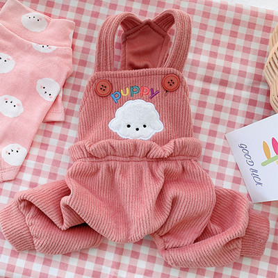 Moodne koeraülikond kombinesooni ja pluusiga