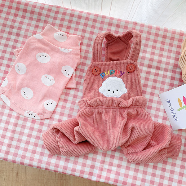 Moodne koeraülikond kombinesooni ja pluusiga