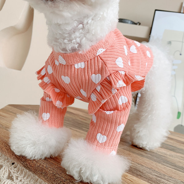 Moodne südametega koerapluus