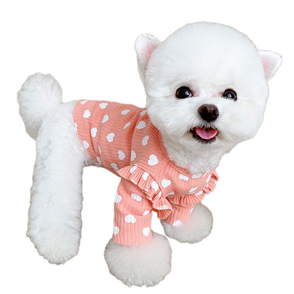 Moodne südametega koerapluus