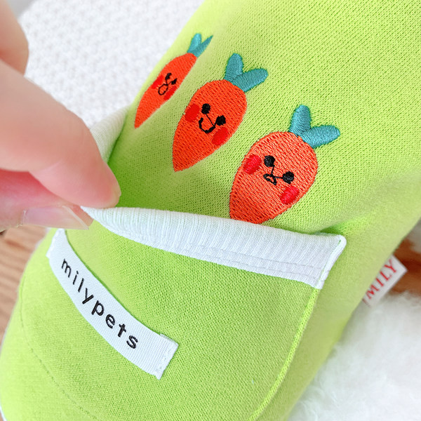 Tikandiga riided ja tasku koerale