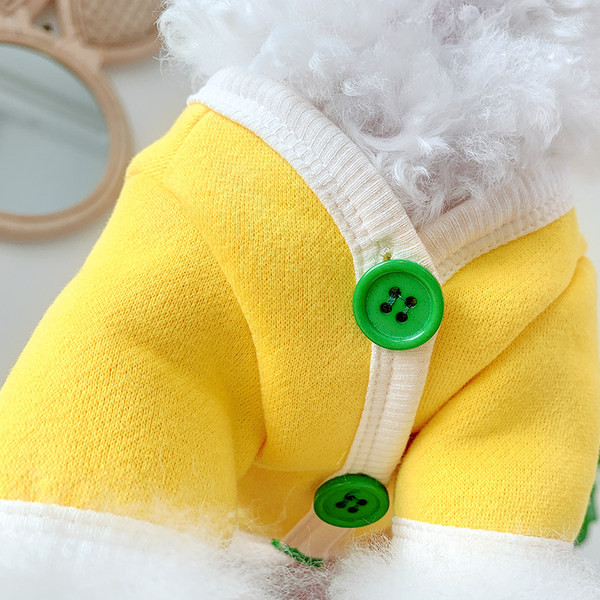 Tikandiga riided ja tasku koerale