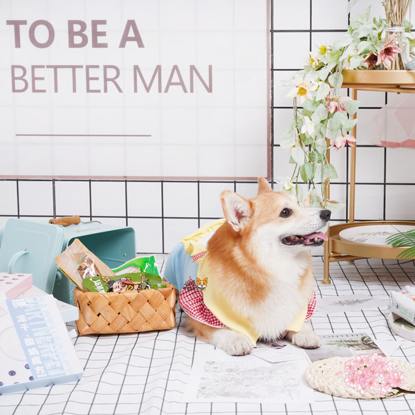 Haine cu nasturi pentru caini