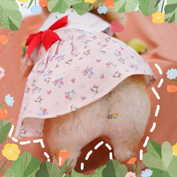 Kleit koertele paela ja laia kaelarihmaga