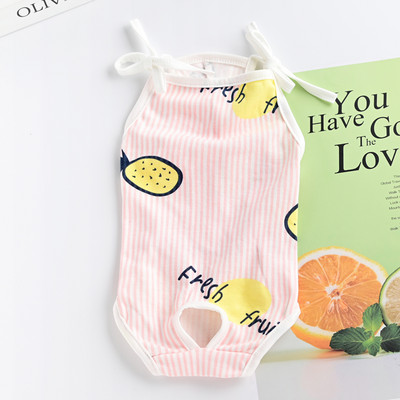 Värvimustriga keha koertele - nelja värvi