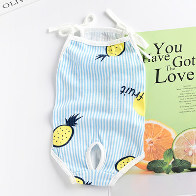 Värvimustriga keha koertele - nelja värvi