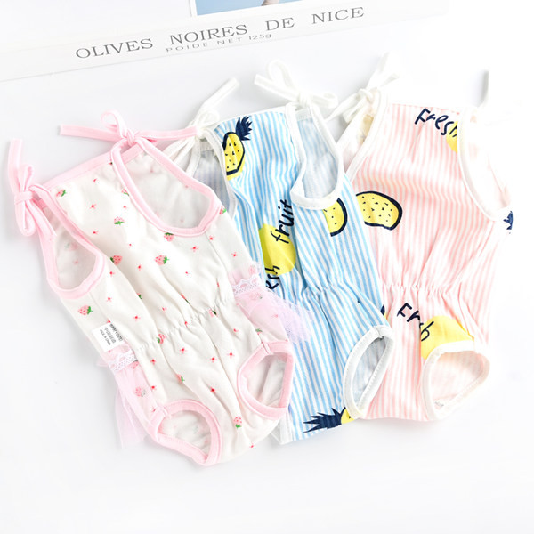 Värvimustriga keha koertele - nelja värvi