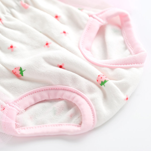 Värvimustriga keha koertele - nelja värvi