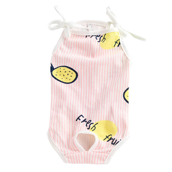 Värvimustriga keha koertele - nelja värvi