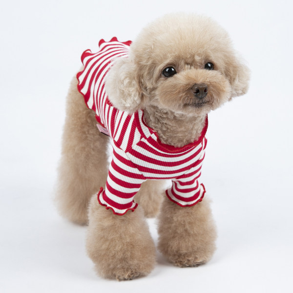 Triibuline 3D elementidega riietus koerale