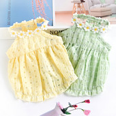 Moodne tikandiga kleit koertele