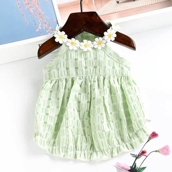 Moodne tikandiga kleit koertele