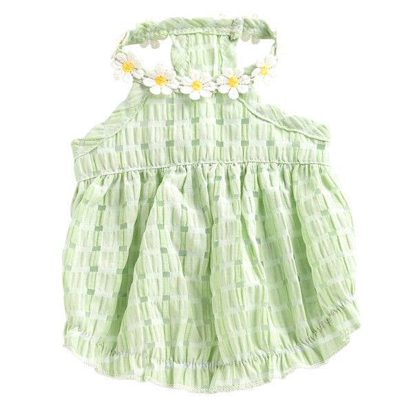 Moodne tikandiga kleit koertele