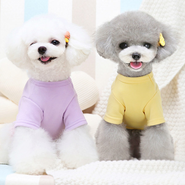 Puuvillane värvilise tikandiga pluus koertele