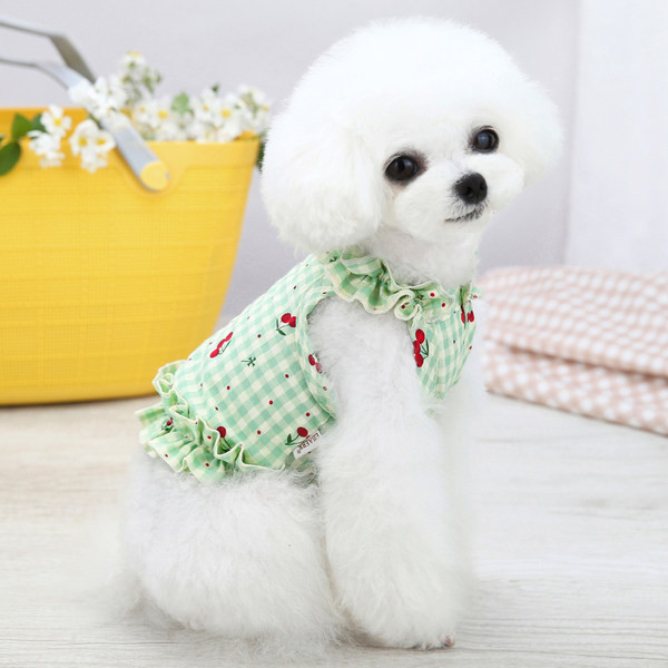 Tikandite ja lokkidega ruuduline kleit koertele